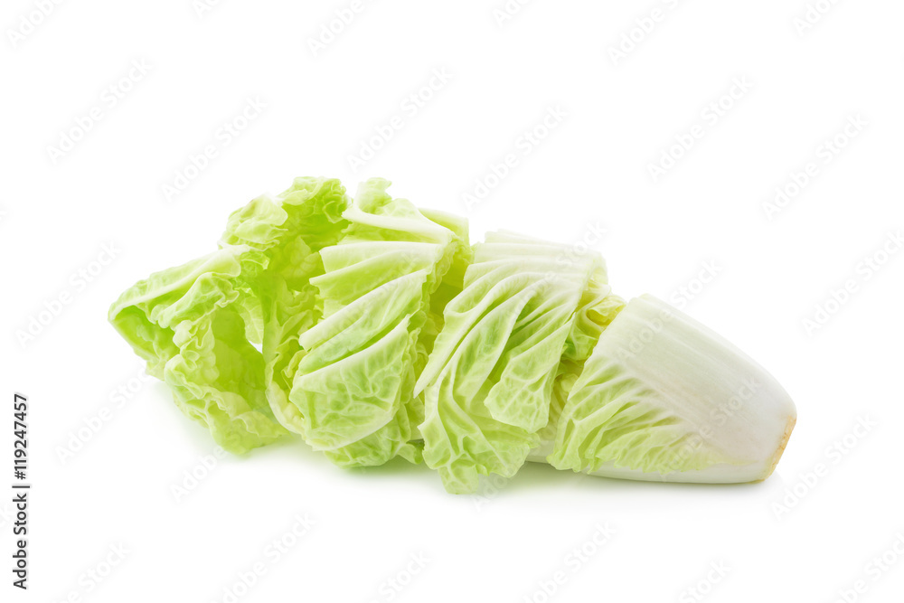 Fresh chinese cabbage on white background Fresh chinese cabbage on white background