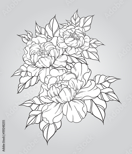 Hand drawn peonies in japanese tattoo traditional style. Floral