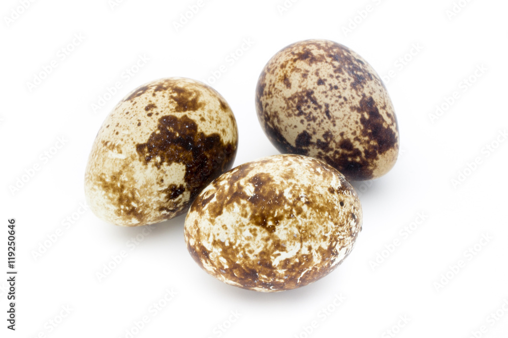 Quail eggs the isolated on a white background. Quail eggs the isolated on a white background.
