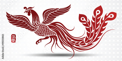Chinese phoenix vector