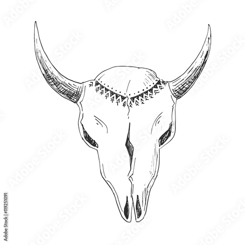 Hand-drawn bull skull with native ornament