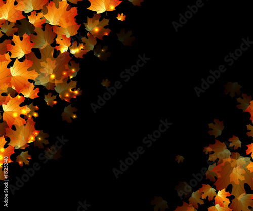 the concept autumn with orange leaves