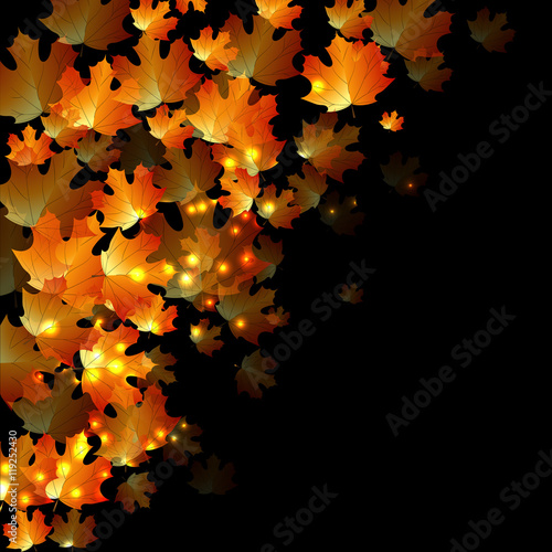 the concept autumn with orange leaves