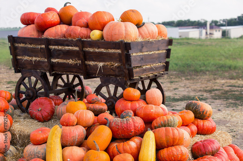 Big pile of pumpkins on hay in a wooden cart. The season of harvest on the farm. Thanksgiving, autumn background. Fairs, festivals, selling beautiful large pumpkins.
