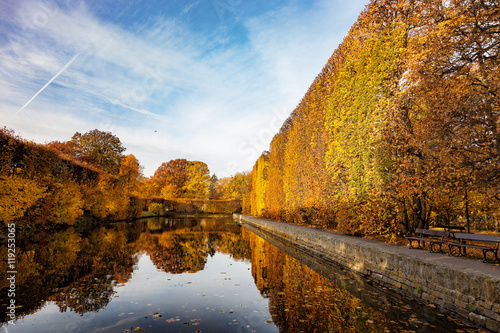 Pond in the Oliwa park in autumn scenery. Oliwa, Poland.