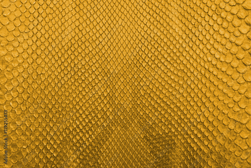 Gold python snake skin texture background.
