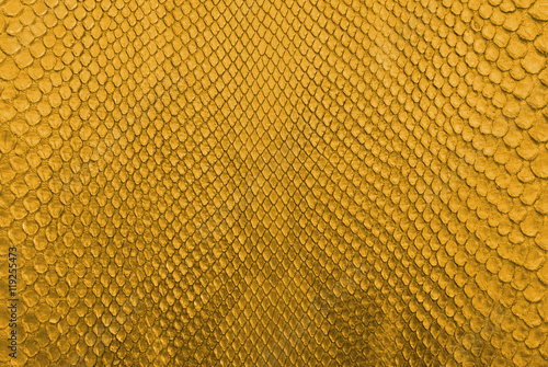 Obraz na płótnie Gold python snake skin texture background. w salonie