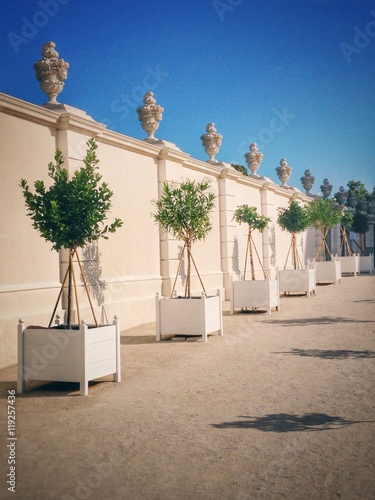 Canvas Print Garden in Bratislava castle, Slovakia