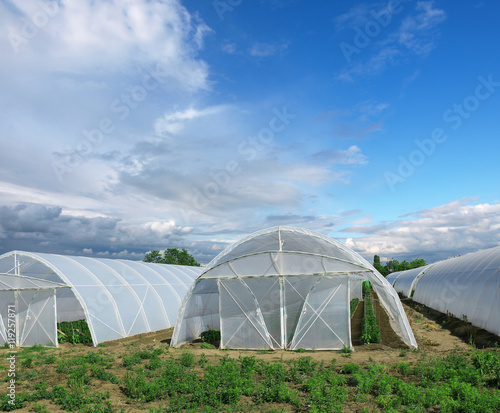 Greenhouse made of polycarbonate © Željko Radojko