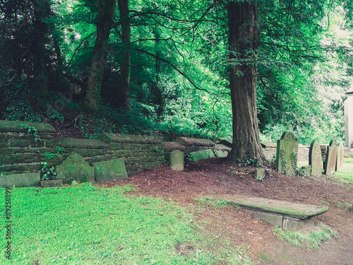 Graves near the woods photo