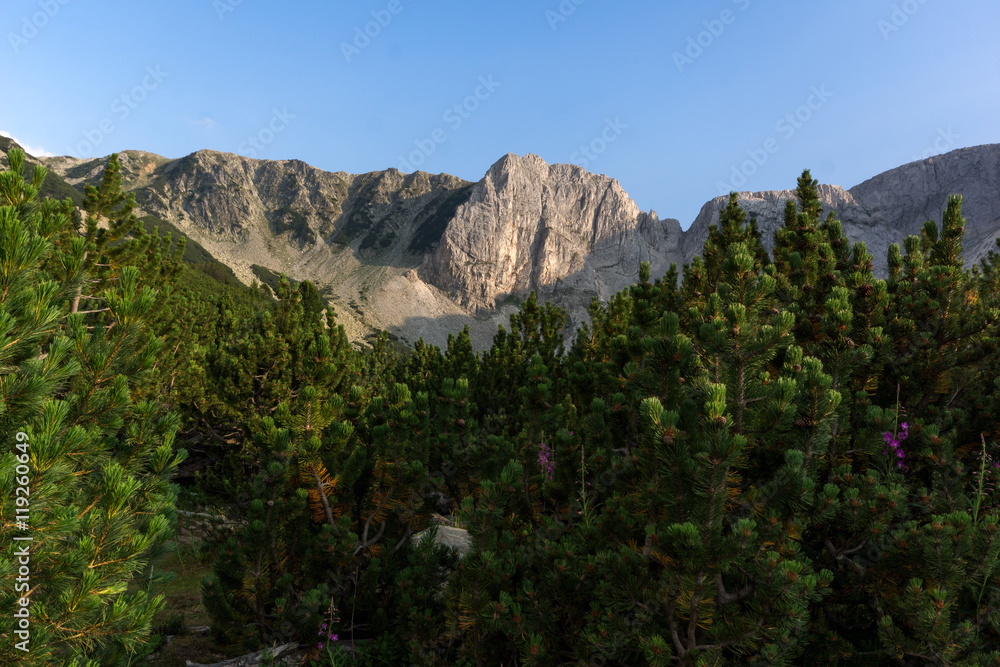 Sinanitsa peak and forest arond the lake, Pirin Mountain, Bulgaria