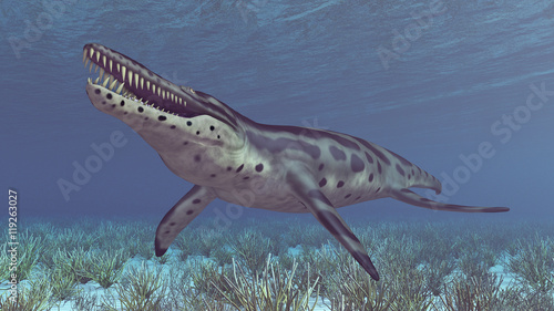 Pliosaurier Kronosaurus photo