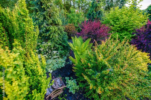 Residential Garden Closeup