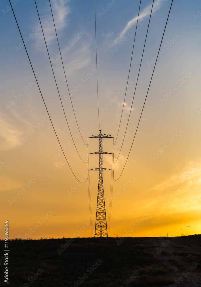 power poles with wires