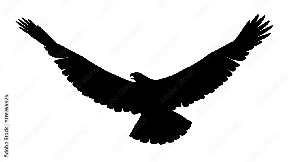 Silhouette eines Adlers Silhouette eines Adlers