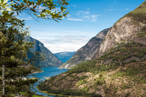 Lærdalsfjorden /  Sognefjorden