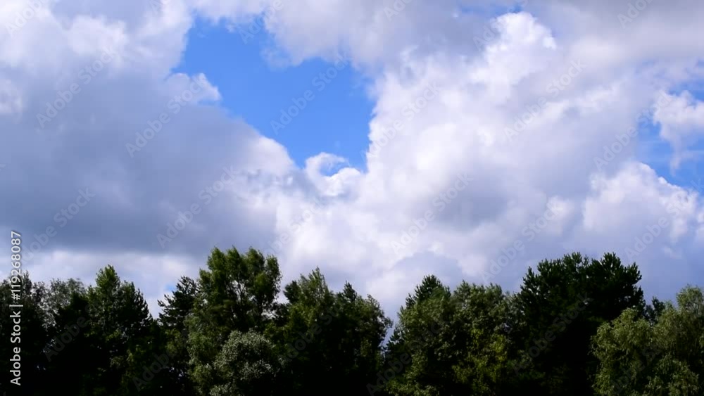 Time lapse of white bubbling and boiling cumulus clouds moving quickly over green deciduous trees in summer Time lapse of white bubbling and boiling cumulus clouds moving quickly over green deciduous trees in summer