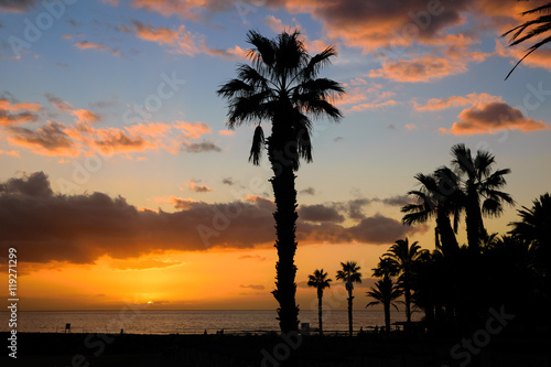 Tropical sunset with trees silhouette in Tenerife