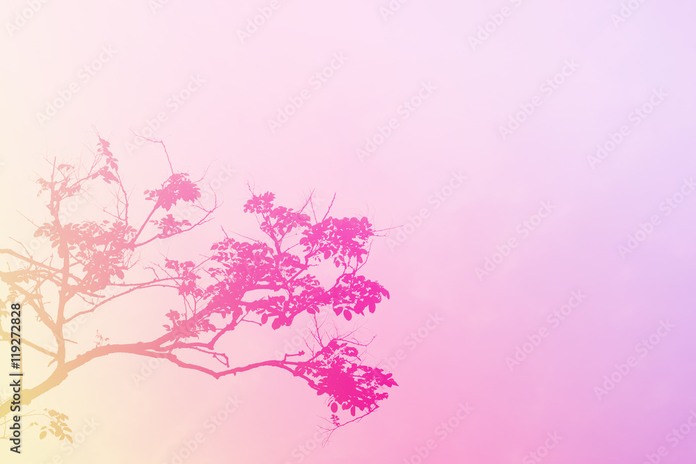 dry tree background with pink tone color