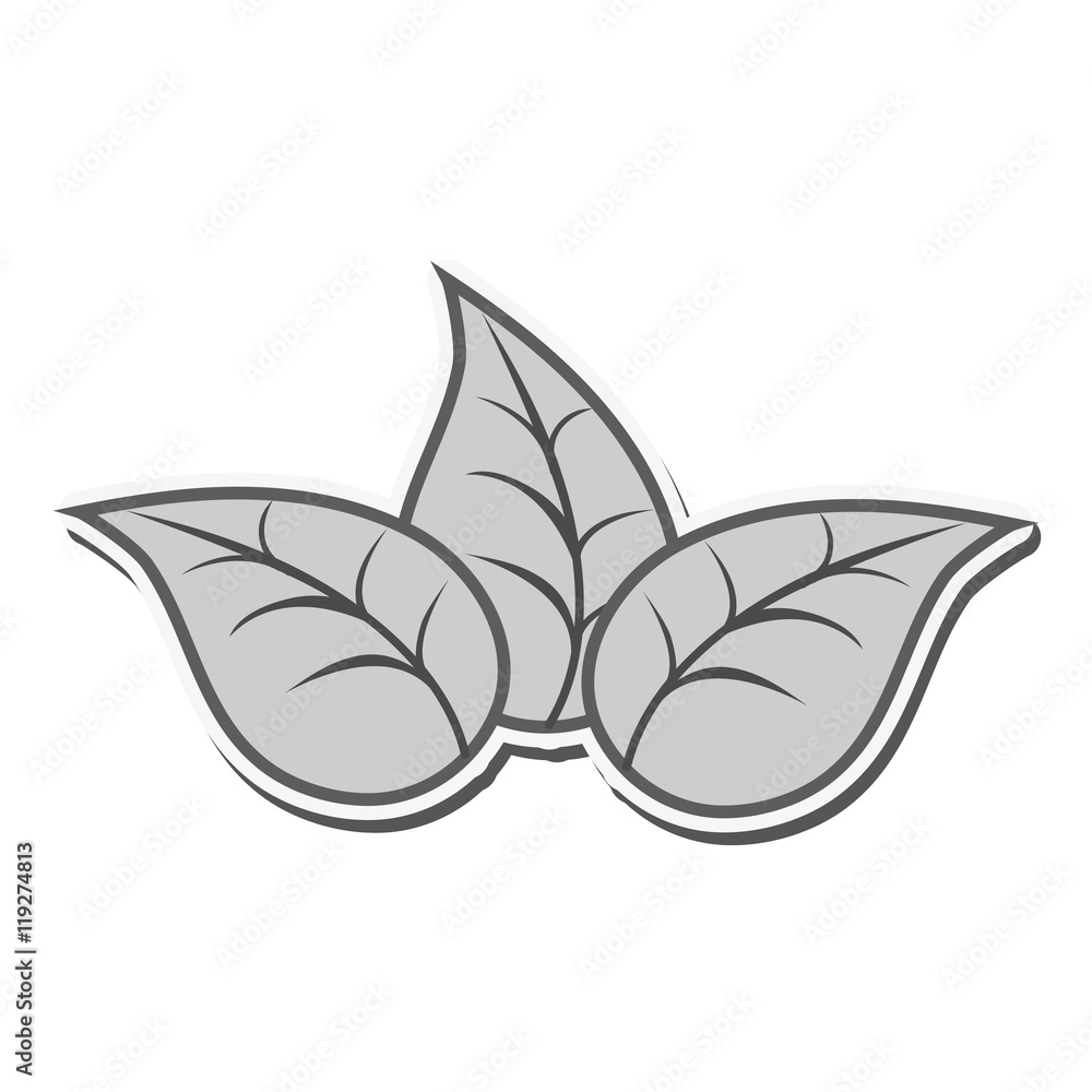 leaf plant nature garden natural botany icon. Flat and isolated design. Vector illustration