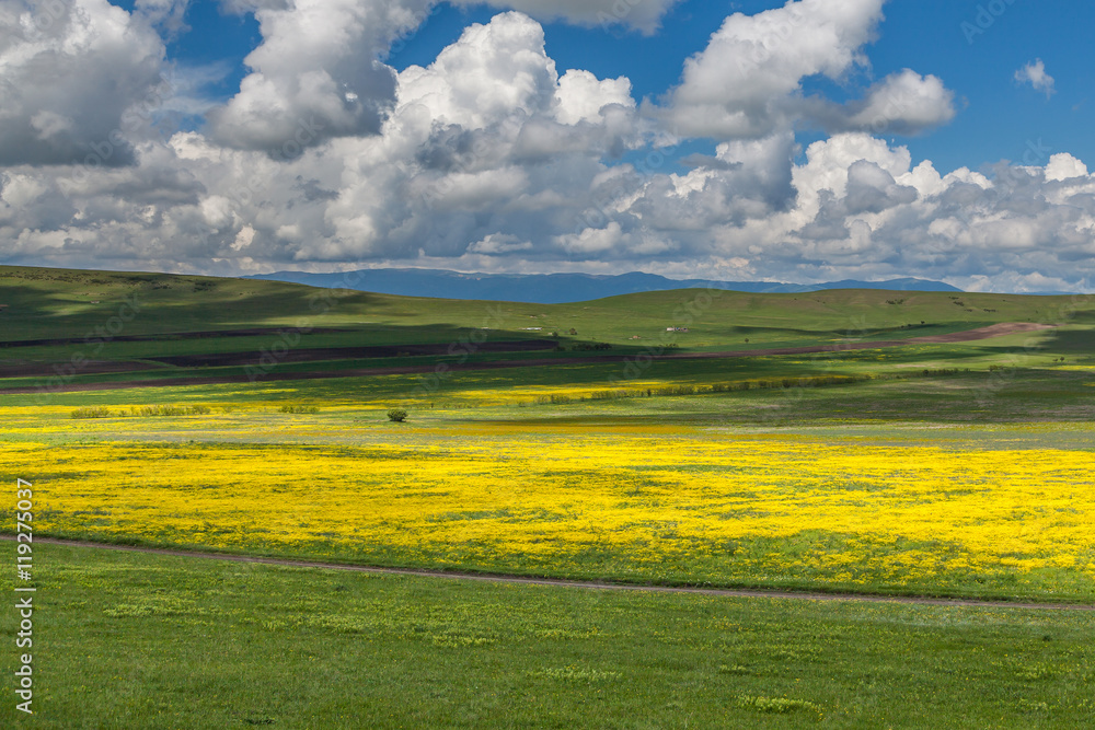 Obraz premium Urban and natural sites near Tbilisi, Kutaisi, Borjomi