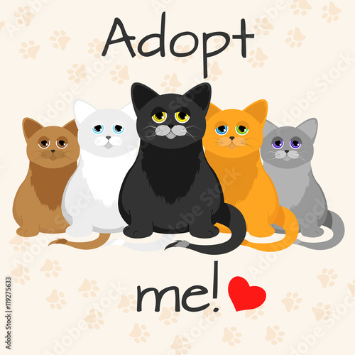 Cats in a cartoon style. Do not shop, adopt. Cat adoption concept. Vector illustration