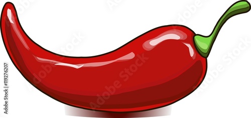 Painting hand drawn red chili pepper on white, vector illustration