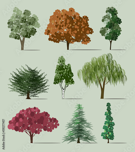 Trees sketch set