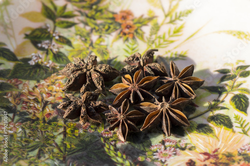 star anise on a colorful plate with floral embroidery tribe patt