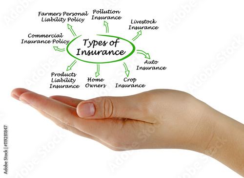 Types of Insurance