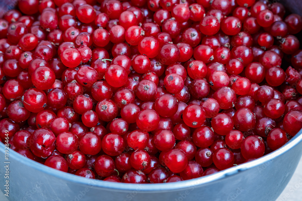 organic garden berries from above. red currant. organic garden berries from above. red currant.