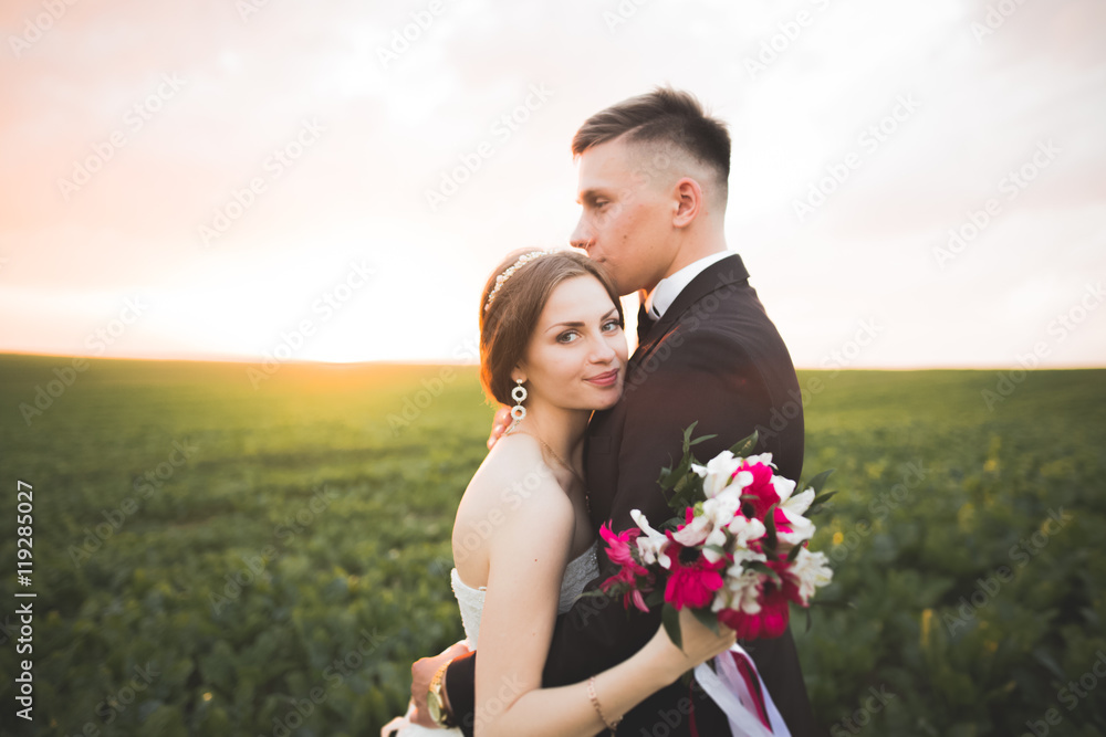 Lovely wedding couple, bride and groom posing in field during sunset Lovely wedding couple, bride and groom posing in field during sunset