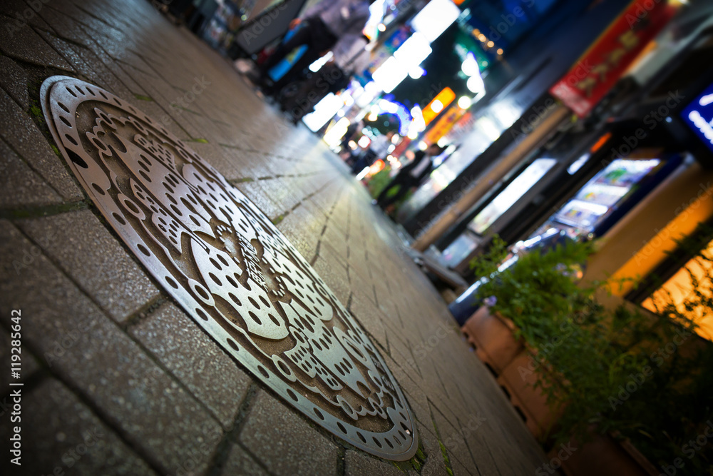 Obraz premium Ikebukuro street view