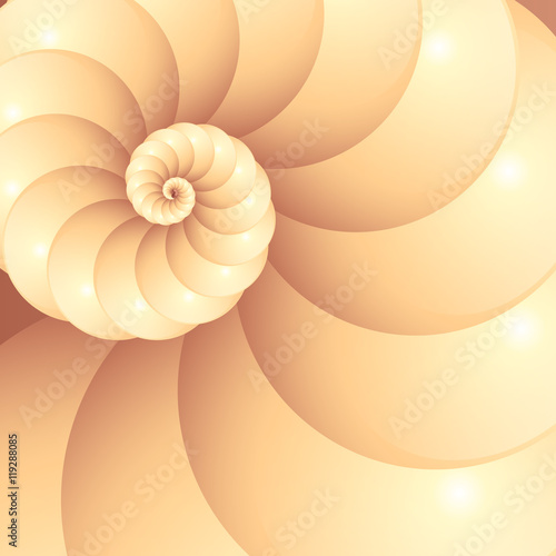 Abstract vector seashell background