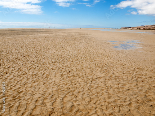 Beach Playa de Sotavento, Canary Island Fuerteventura, Spain