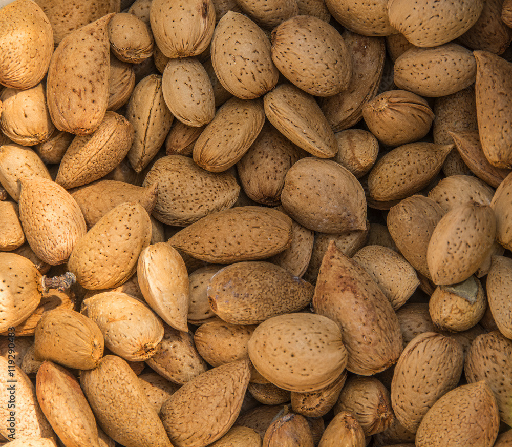 shelled almonds shelled almonds