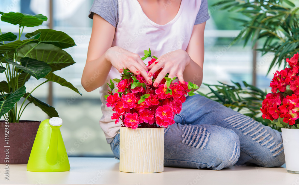 Woman taking care of home plants