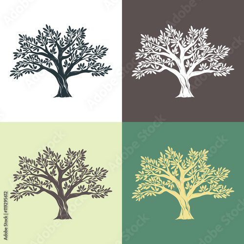 Hand drawn graphic argan trees set on different backgrounds. Vector illustration for labels, packs, logo design.