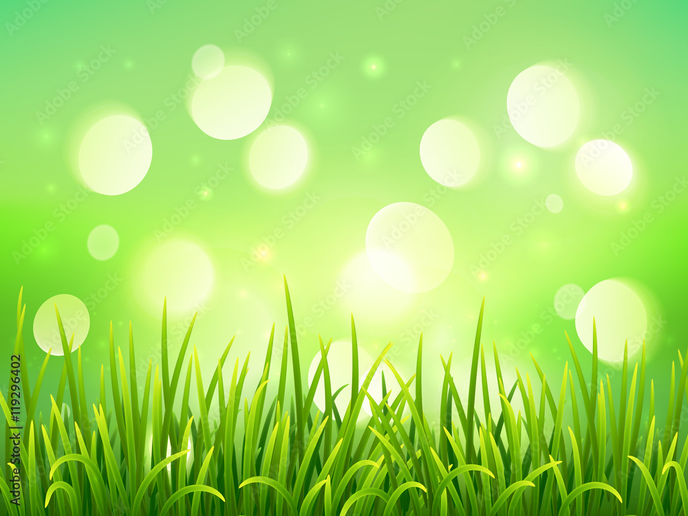 Fototapeta premium Green grass on bokeh light effect background