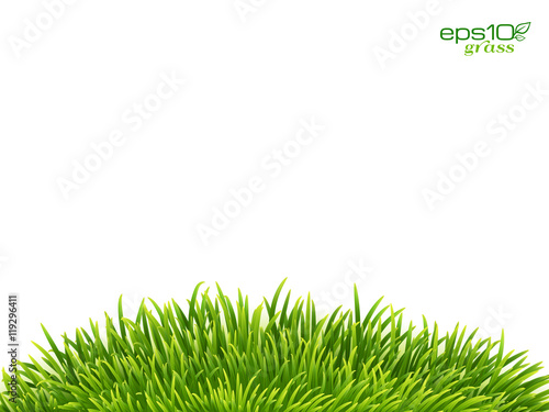 Green isolated grass hill on white background