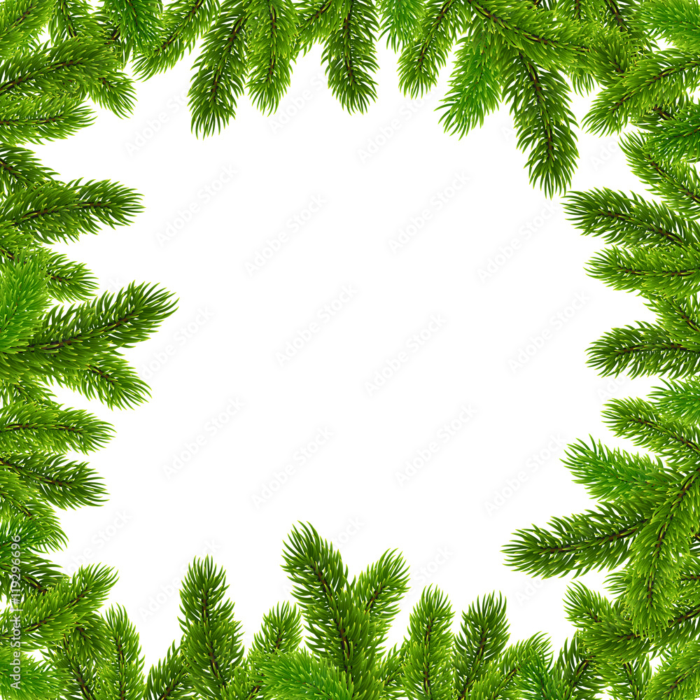 Green Christmas tree branches vector frame Green Christmas tree branches vector frame