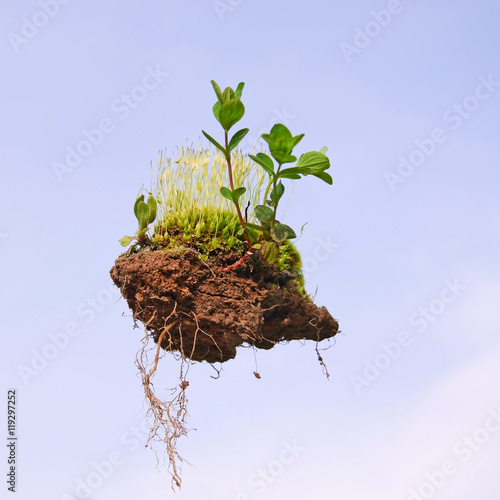 The lump of land sticking small green plants, moss and roots on the background of blue sky. Microcosm