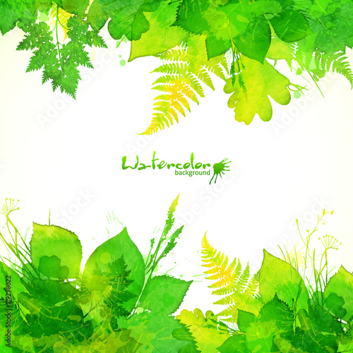 Green summer foliage vector background