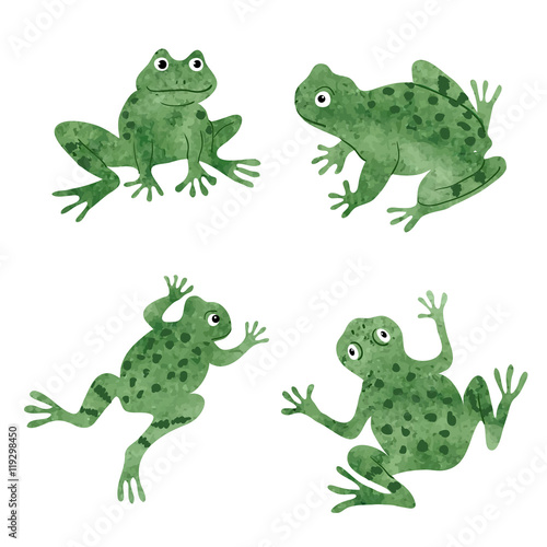 Set of cute watercolor frogs isolated on white. Vector illustration. 