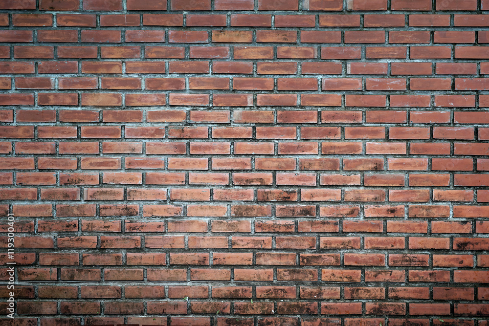 Fototapeta premium brick wall as background