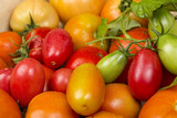 Close-up view of different fresh green and red tomatoes with waterdrops