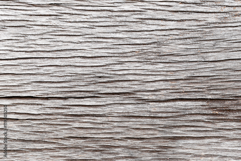 Old wood texture. Old wood texture.