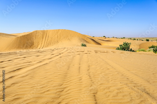 Sand dunes  SAM dunes of Thar Desert of India with copy space