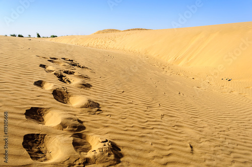 Footprints of camel on Sand dunes  SAM dunes of Thar Desert of I