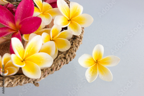 Fototapeta Naklejka Na Ścianę i Meble -  Plumeria tropical flowers